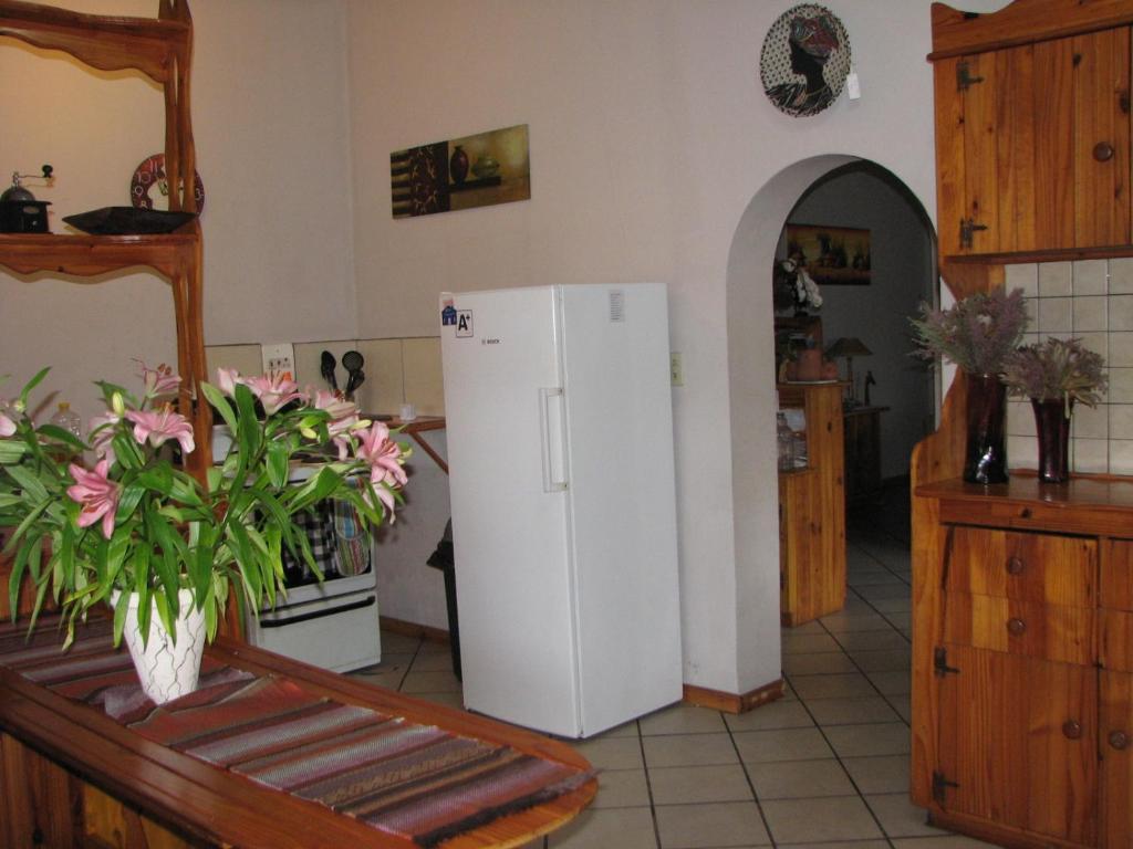 Jembjo'S Knysna Lodge & Backpackers Экстерьер фото
